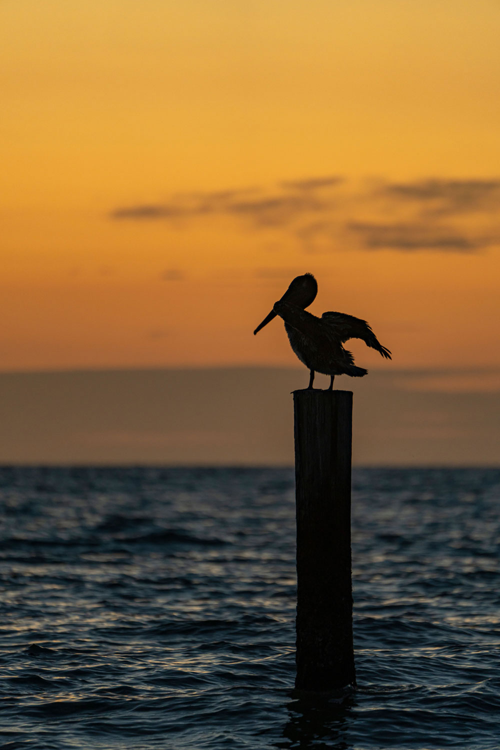 Fishing lifestyle at a Florida Keys style dock